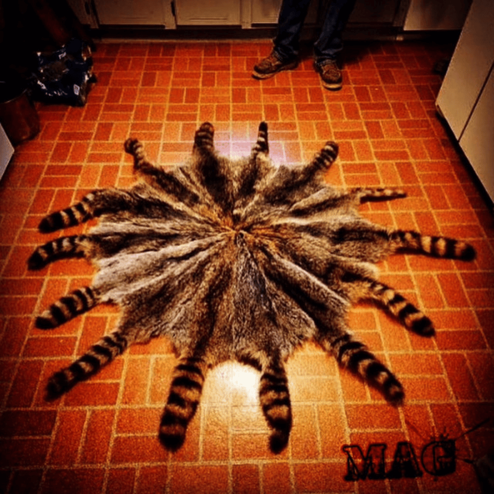 fakemink Wild One cover artwork