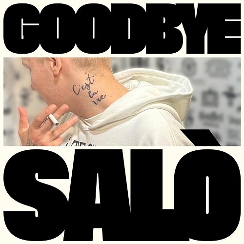 Brutalismus 3000 GOODBYE SALÒ THE REMIXES cover artwork