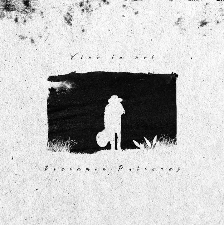 Beniamin Palincas — Vrednic cover artwork
