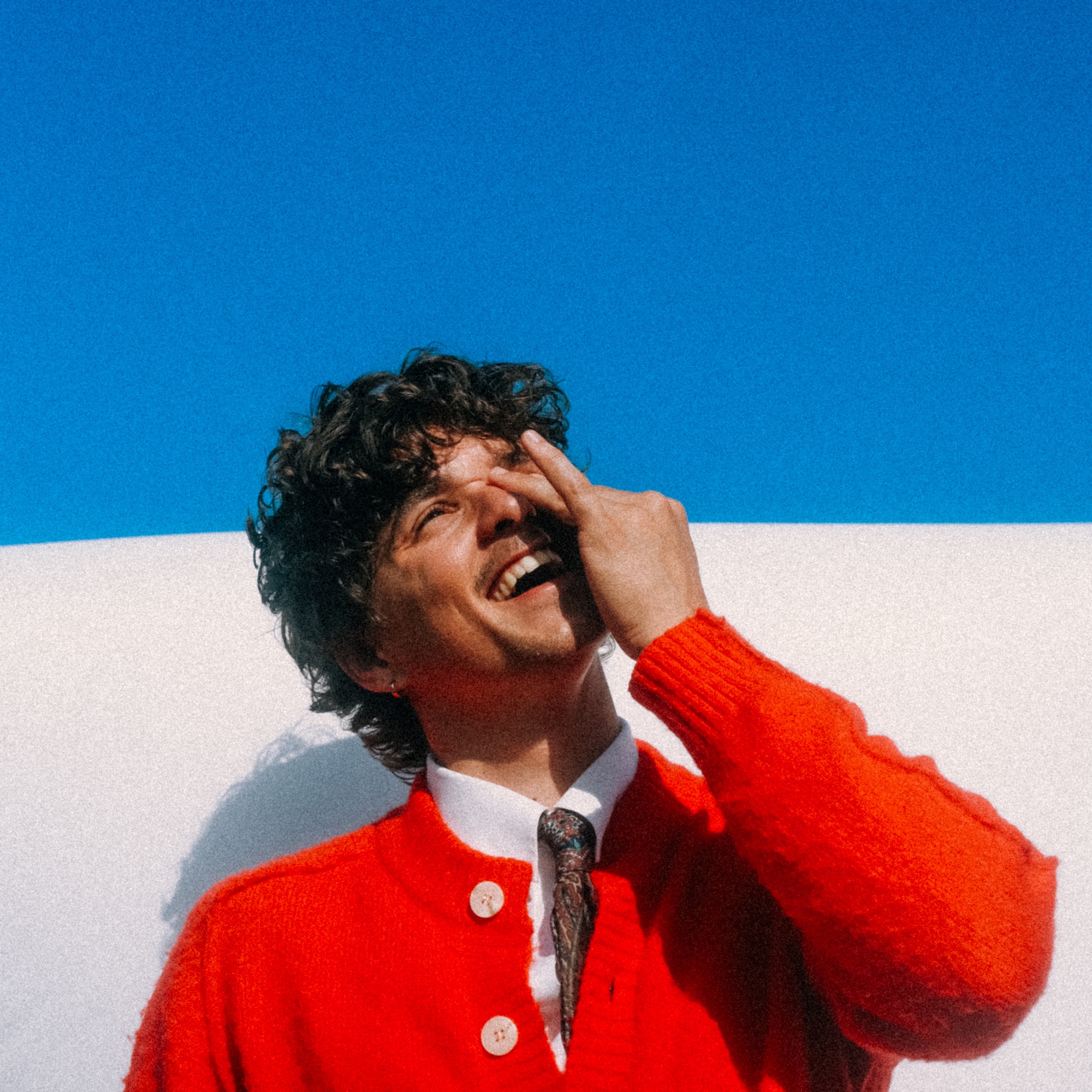 Bradley Simpson — Suzy cover artwork