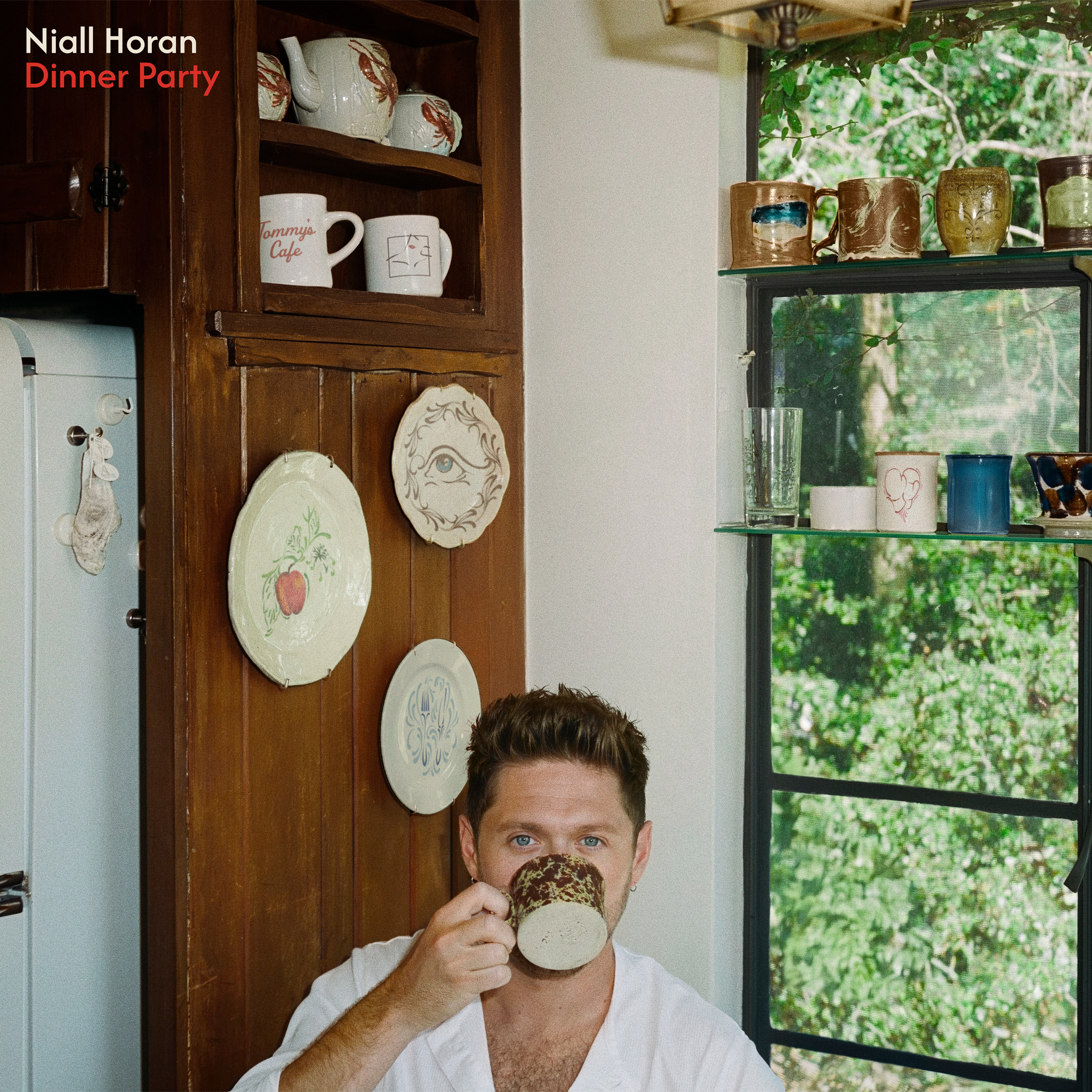 Niall Horan — Fighting Over Nothing cover artwork