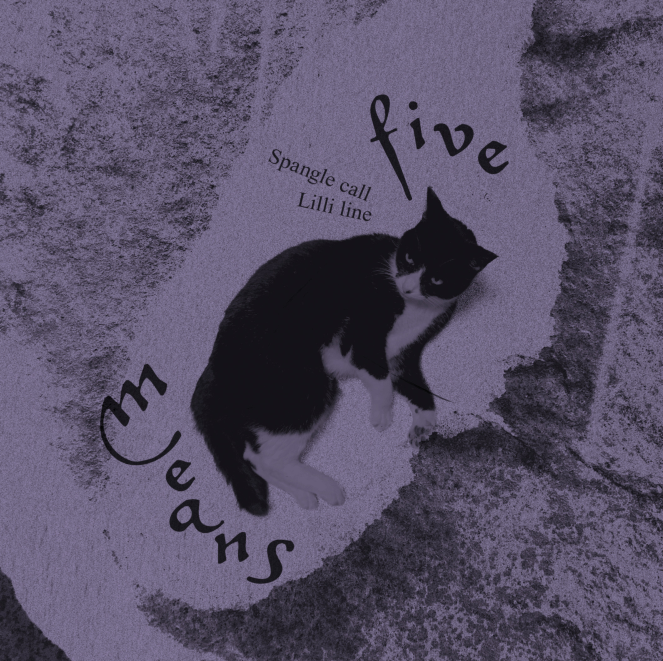 Spangle Call Lilli Line — Five Means cover artwork