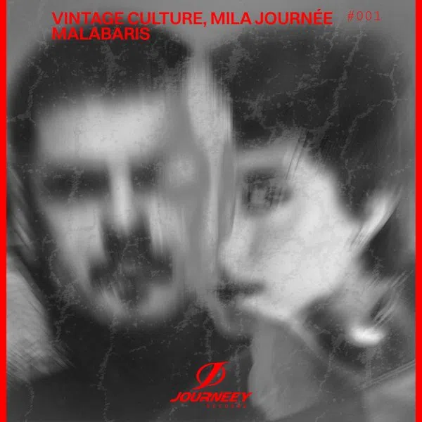 Vintage Culture & Mila Journée — Malabaris cover artwork
