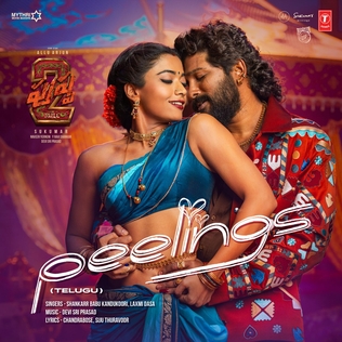 Shankarr Babu Kandukoori &amp; Laxmi Dasa — Peelings cover artwork