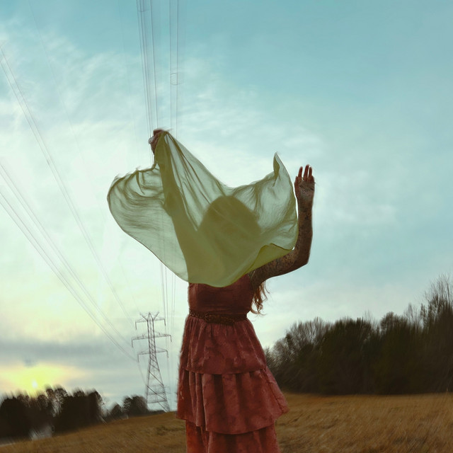 Ivory Layne — Roam cover artwork