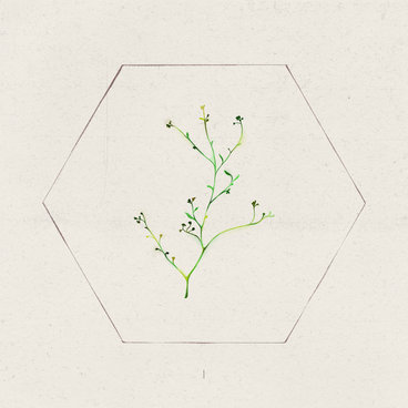 David Micic — Cry cover artwork