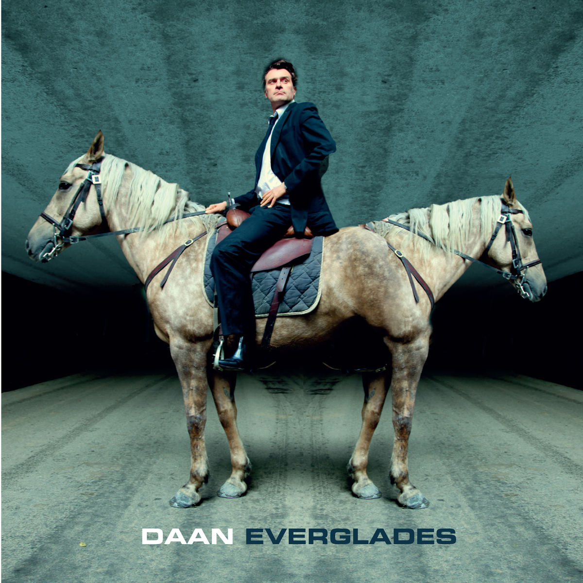 DAAN — Everglades cover artwork