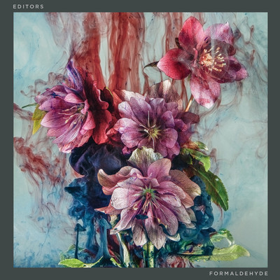 Editors — Formaldehyde cover artwork