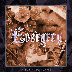 Evergrey featuring Mikael Stanne — A Burning Flame cover artwork