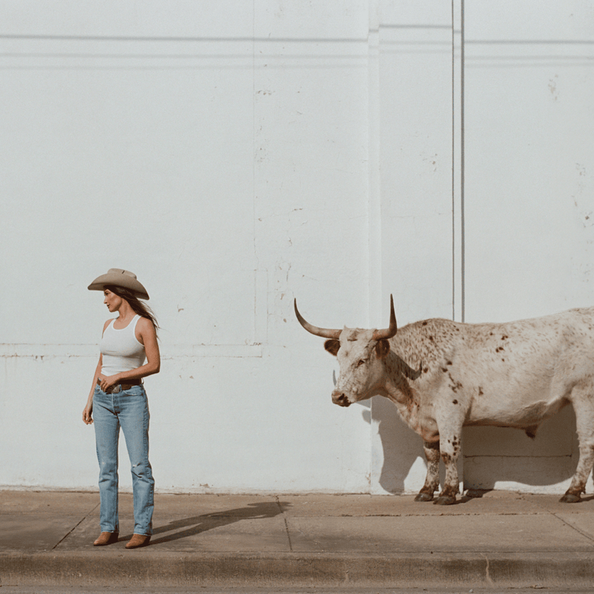 Kacey Musgraves featuring Miranda Lambert — Horses &amp; Divorces cover artwork