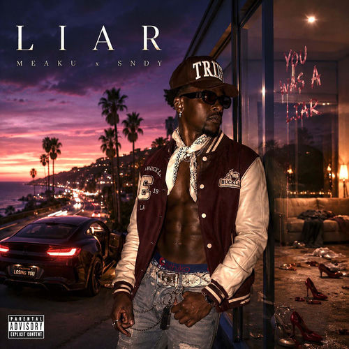 Meaku & sndy — Liar cover artwork