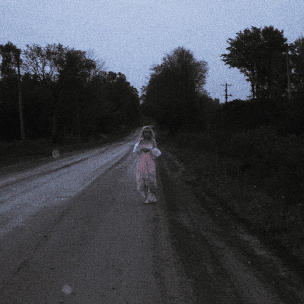 Nicole Dollanganger Have You Seen Me? cover artwork