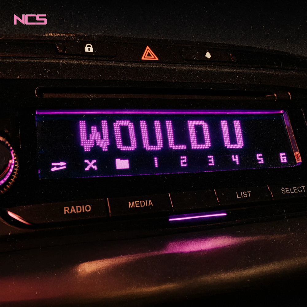 Conni, Lynxie, & THEBOYBENNIE — WOULD U cover artwork