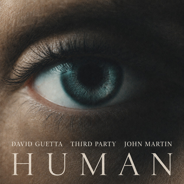 David Guetta & Third Party featuring John Martin — Human cover artwork