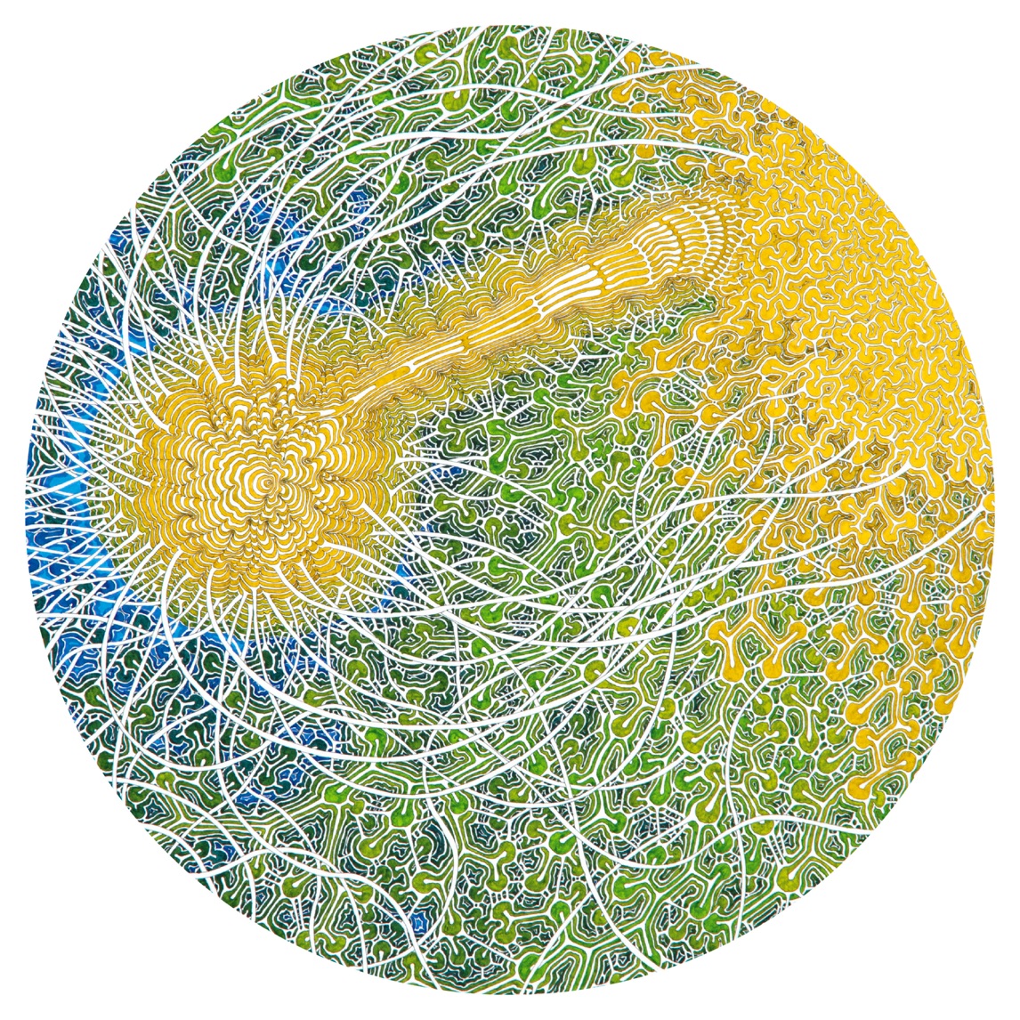 Max Cooper — The Shape Of Memory cover artwork