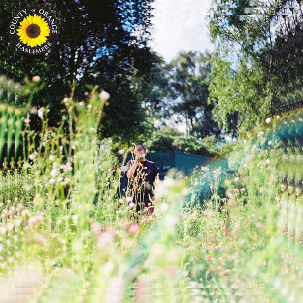 Rex Orange County — Sunflower cover artwork