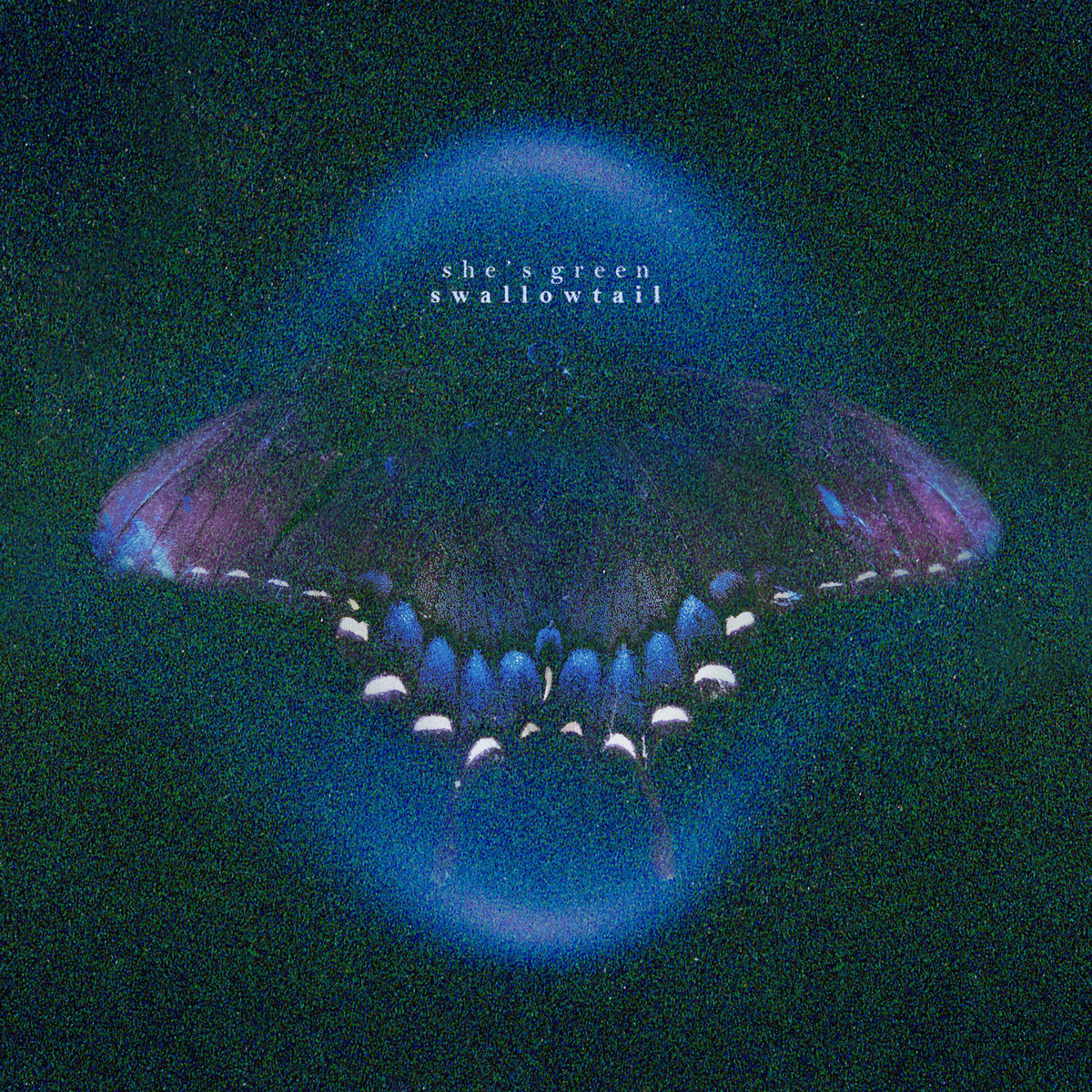 she's green — paper thin cover artwork