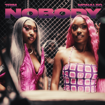 Trim & Monaleo — Nobody - Remix cover artwork