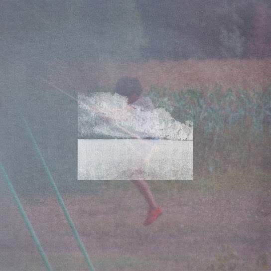 disiz featuring Kid Cudi — try try try cover artwork