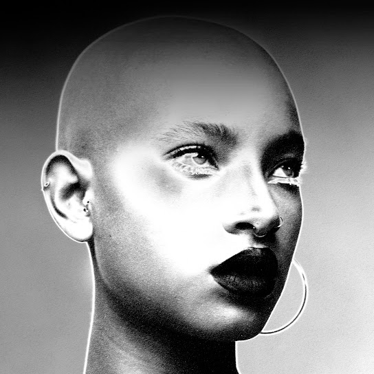 WILLOW — <COPINGMECHANISM> cover artwork