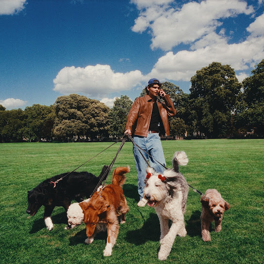 Benjamin Steer — Dog Eat Dog cover artwork