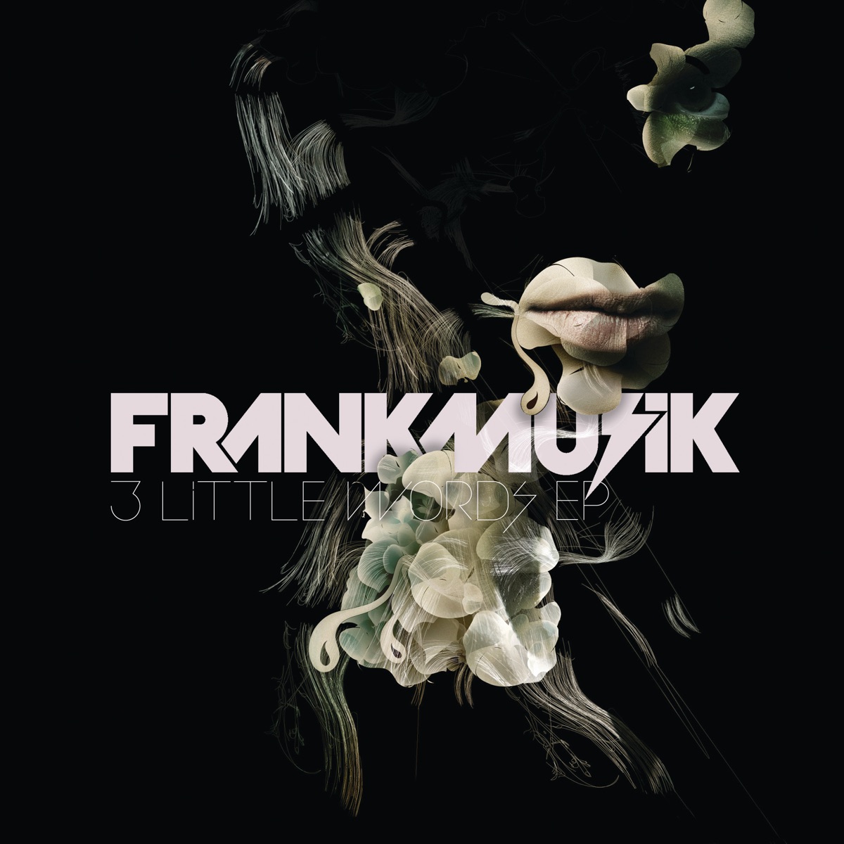 Frankmusik 3 Little Words cover artwork