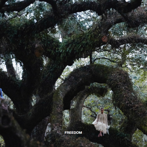 Beyoncé featuring Kendrick Lamar — Freedom cover artwork
