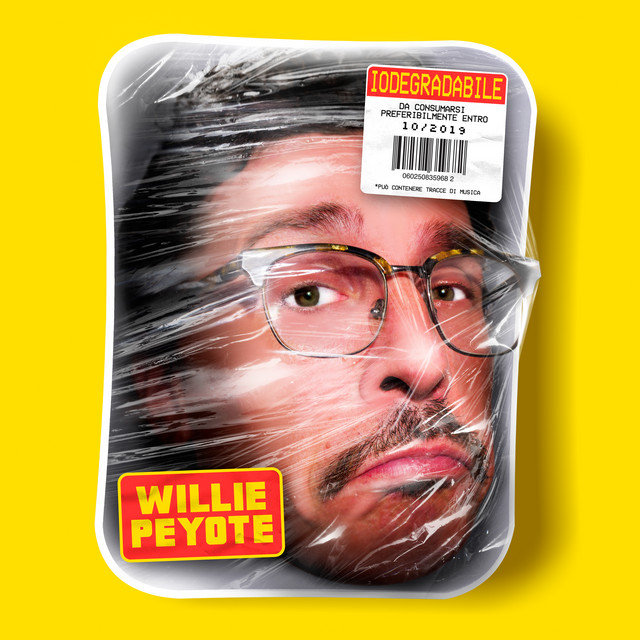 Willie Peyote — Quando nessuno ti vede cover artwork