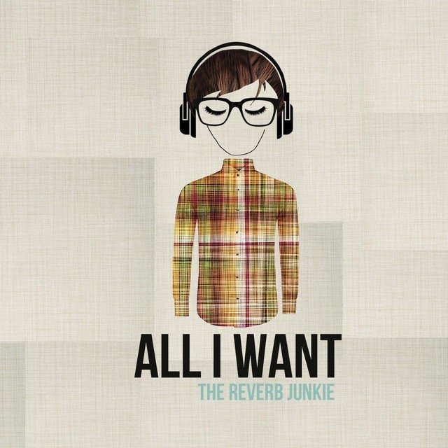 The Reverb Junkie — All I Want cover artwork