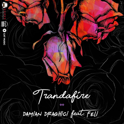 Damian Draghici ft. featuring Feli Trandafire cover artwork