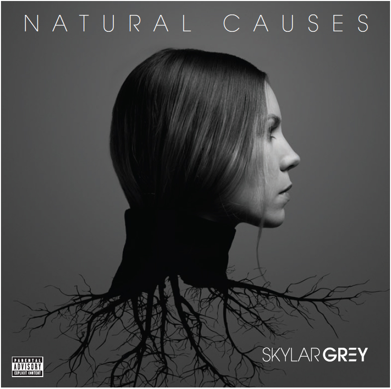 Skylar Grey — Come Up for Air cover artwork