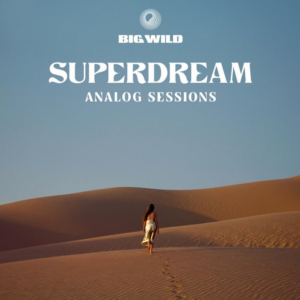 Big Wild — Purple Sand (My Home) (Analog) cover artwork