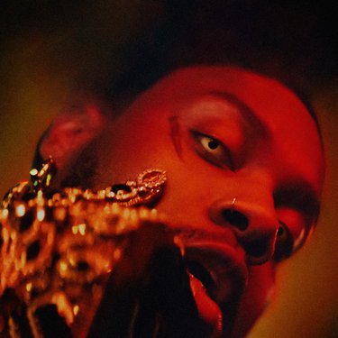 serpentwithfeet featuring Ty Dolla $ign & Yanga YaYa — Damn Gloves cover artwork