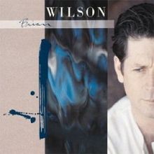 Brian Wilson Brian Wilson cover artwork