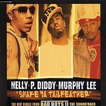 Nelly, Diddy, & Murphy Lee — Shake Ya Tailfeather cover artwork