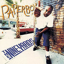 Paperboy The Nine Yards cover artwork