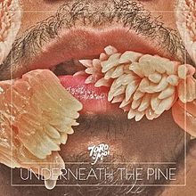 Toro y Moi Underneath the Pine cover artwork