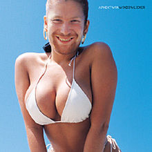 Aphex Twin Windowlicker cover artwork