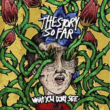 The Story So Far What You Don&#039;t See cover artwork