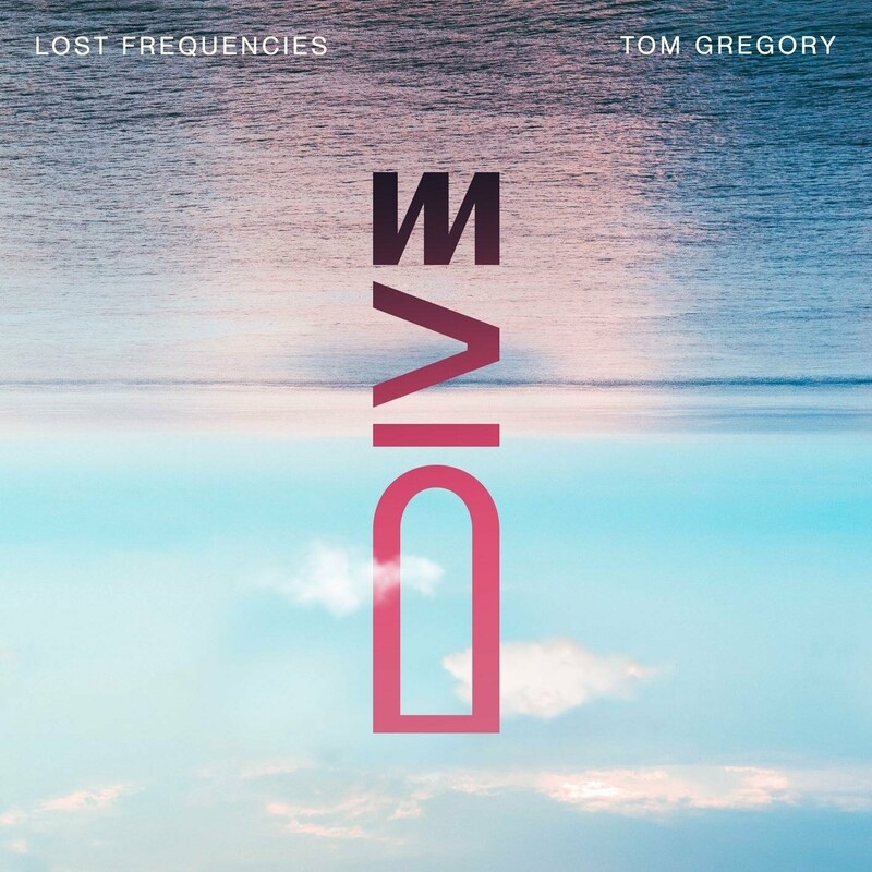 Lost Frequencies ft. featuring Tom Gregory Dive cover artwork