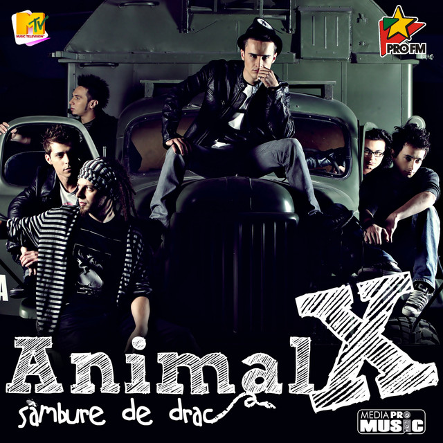 Animal X Sâmbure De Drac cover artwork