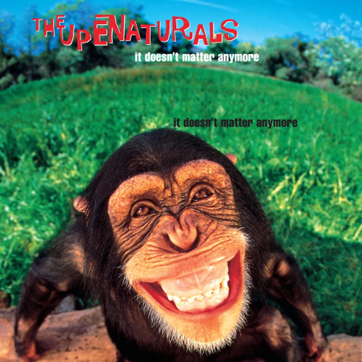 The Supernaturals It Doesn&#039;t Matter Anymore cover artwork