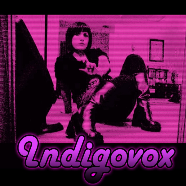 Indigovox The Collection cover artwork