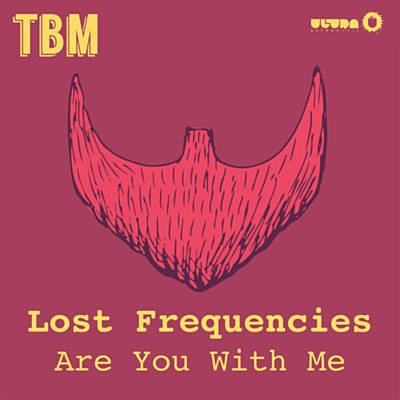 Lost Frequencies — Are You With Me cover artwork