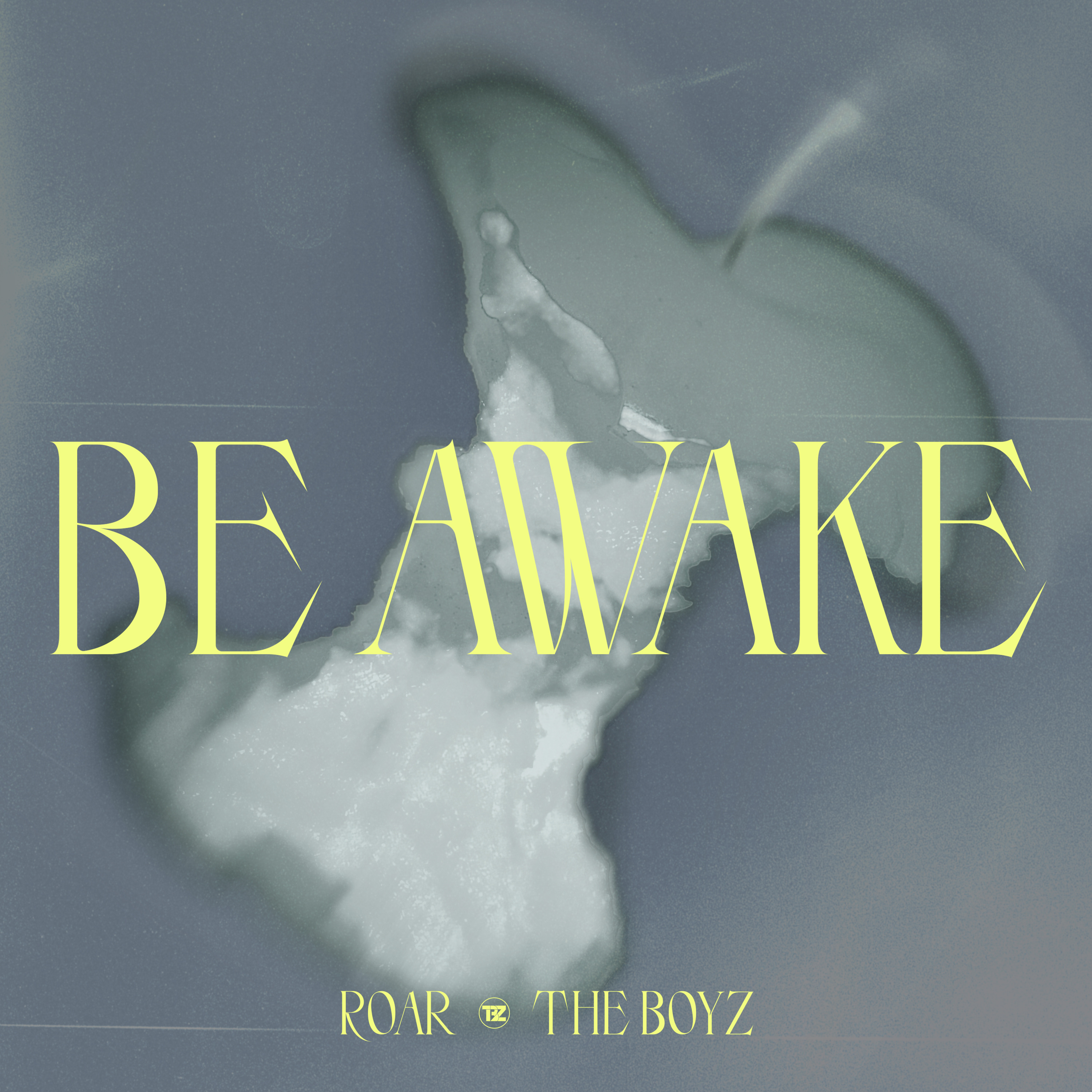 THE BOYZ BE AWAKE cover artwork