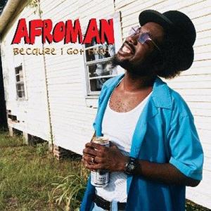 Afroman — Because I Got High cover artwork