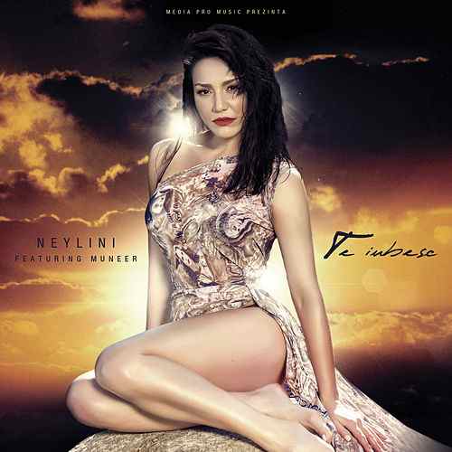 Neylini featuring Muneer — Te Iubesc cover artwork