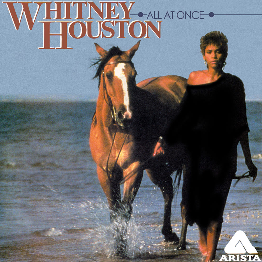 Whitney Houston All at Once cover artwork