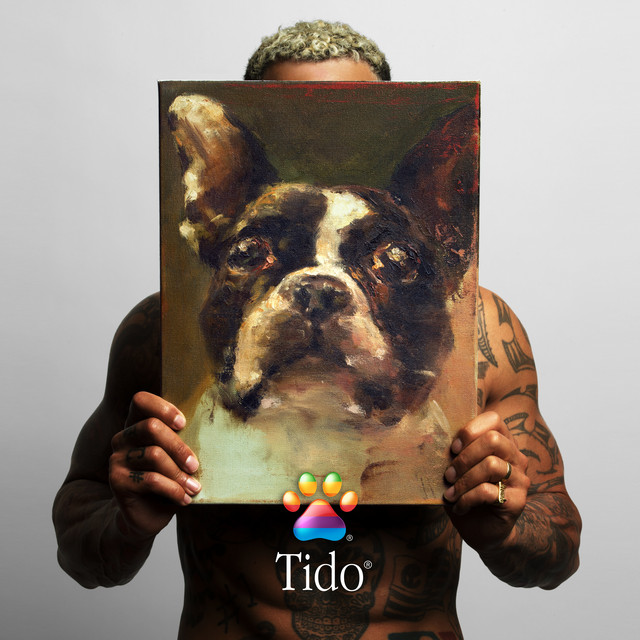Bizzey Tido cover artwork