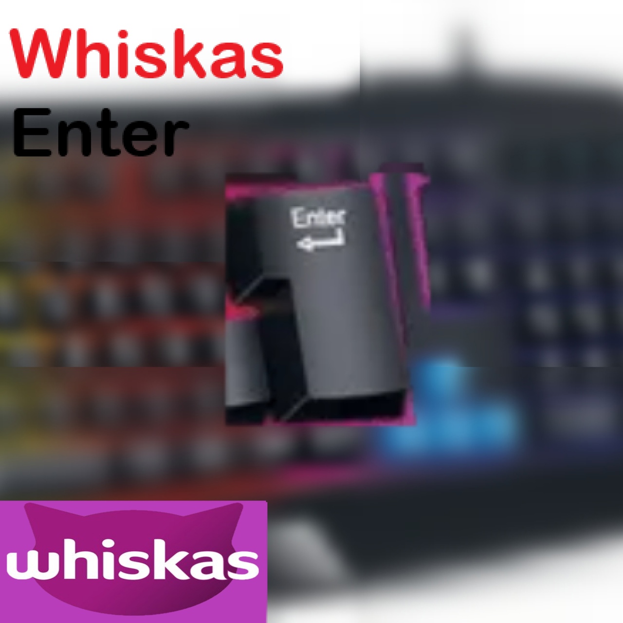 Whiskas — Enter cover artwork
